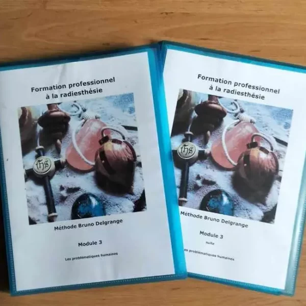 Module 3 de la méthode de radiesthésie Bruno Delgrange - Les problématiques humaines